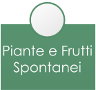 Piante e FruttiSpontanei