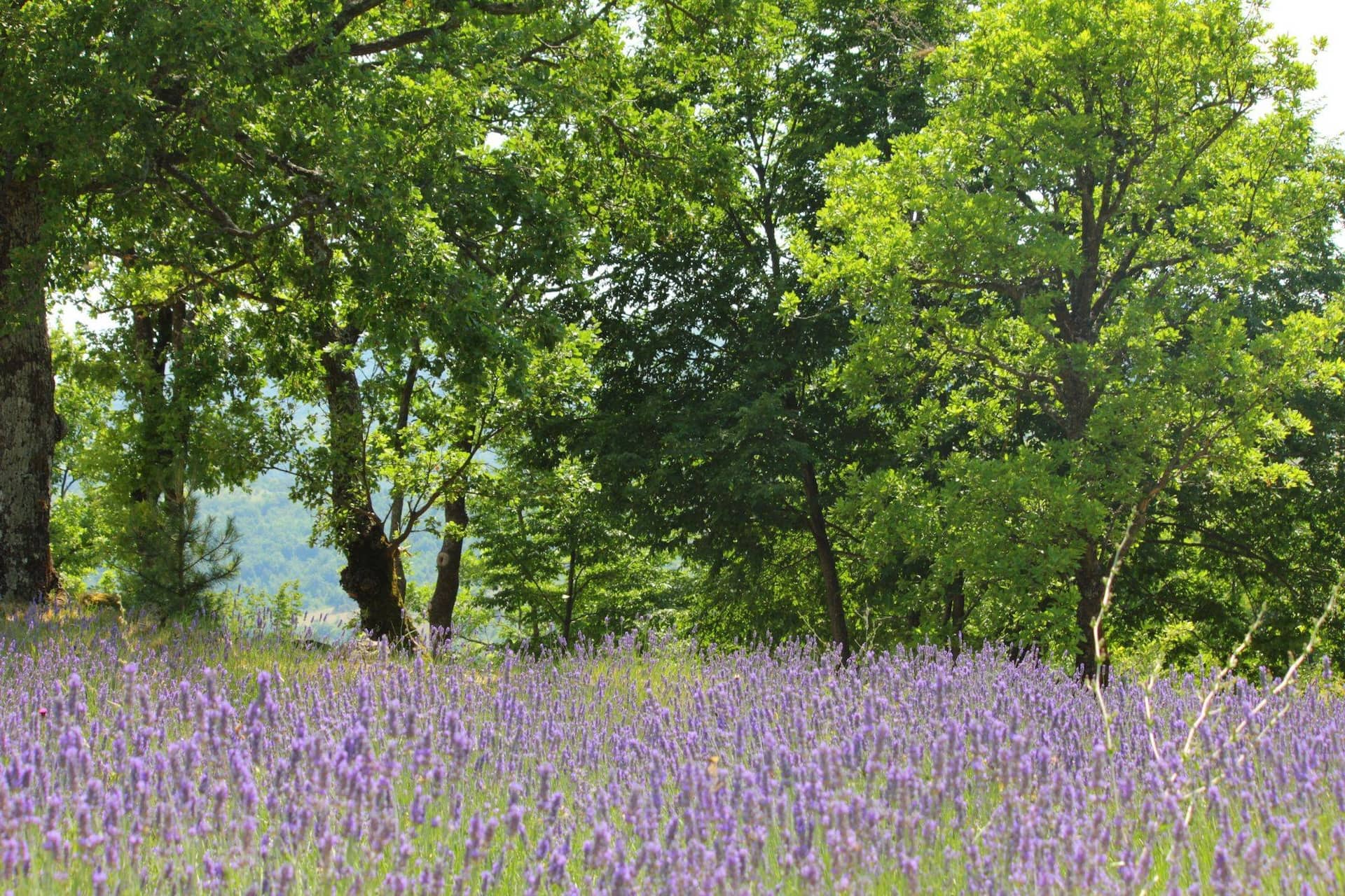 comibene parco econaturale 4