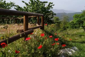 Percorsi Culturali comibene parco econaturale 5