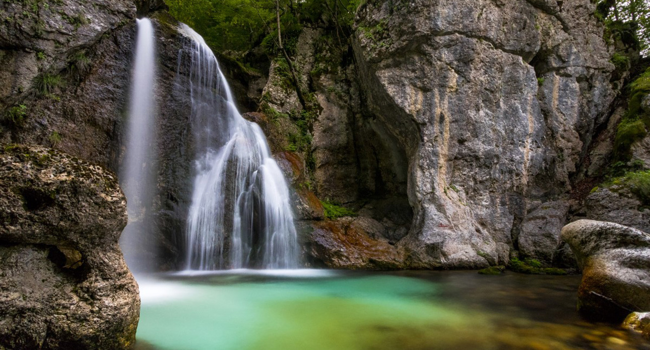 comibene parco percorsi acqua 06 canneto