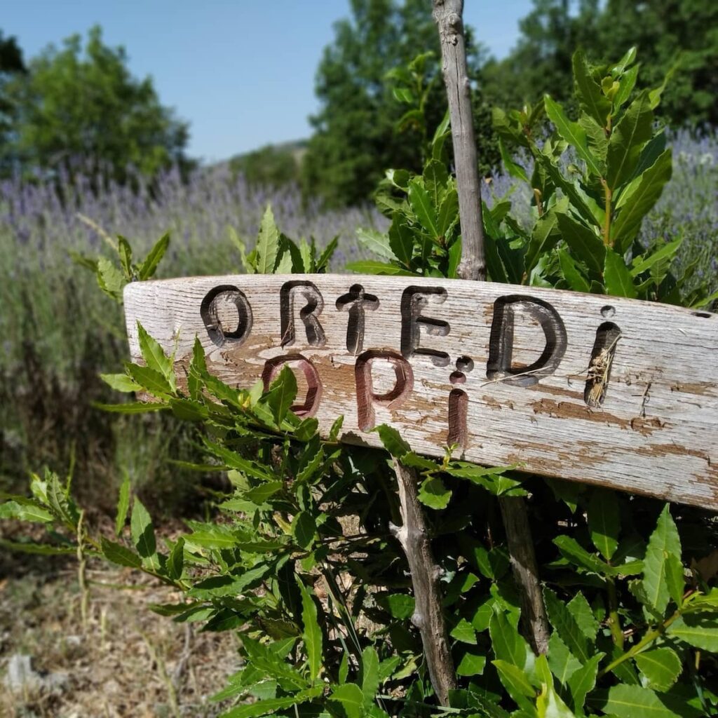 cominium benessere horti di opi
