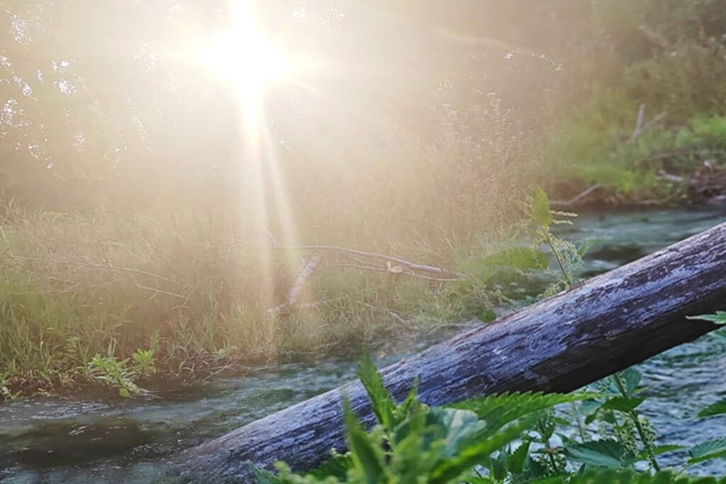 comibene cover 26 ago