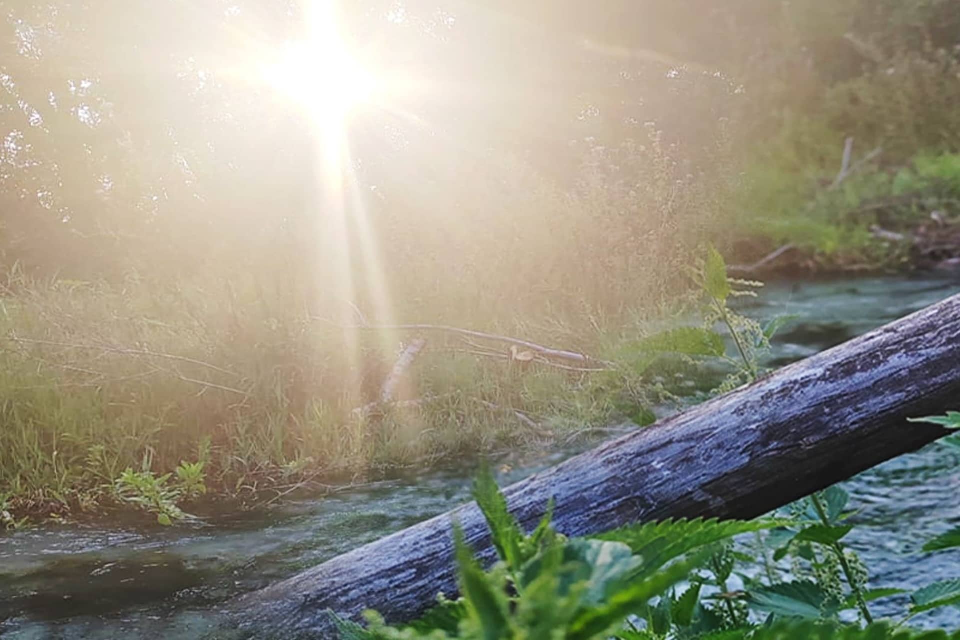 comibene cover 26 ago